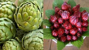 Nông dược sạch và vai trò của nông dược đối với đời sống